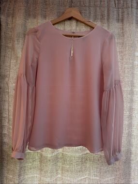 Express Blush Pink Long-Sleeve Sheer Sleeve Blouse